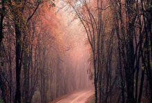 切尔西对阵水晶宫,这场英超对决有哪些看点和悬念?